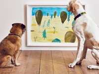 Открылась первая в мире арт-выставка для собак - Домашние питомцы ... - «Дом»