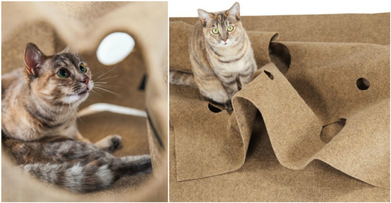 Wi-Fi-миска - «Дом»