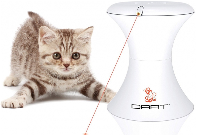 Wi-Fi-миска - «Дом»