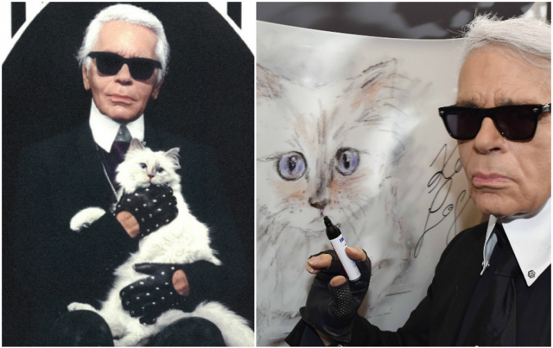 Габриэль Шанель и ее мраморные доги Луна и Солнце - «Мода»