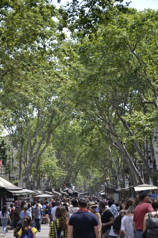 Отпуск в Испании: на что посмотреть в Барселоне. Советы эксперта