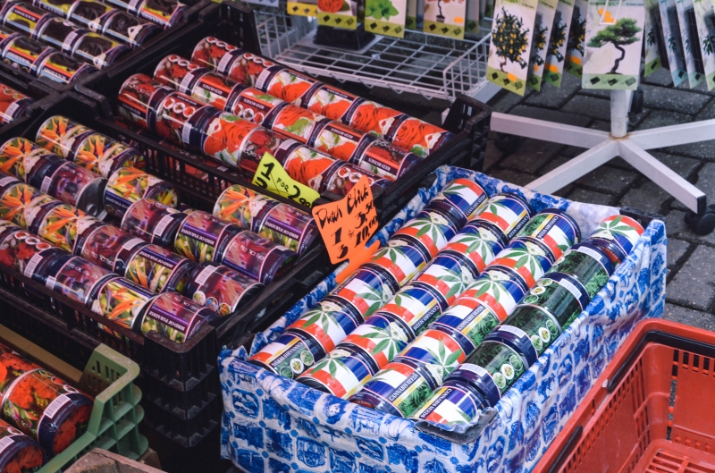 ТОП-5 вещей, которые нужно сделать в Амстердаме