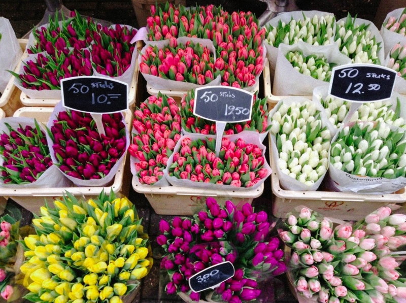 ТОП-5 вещей, которые нужно сделать в Амстердаме