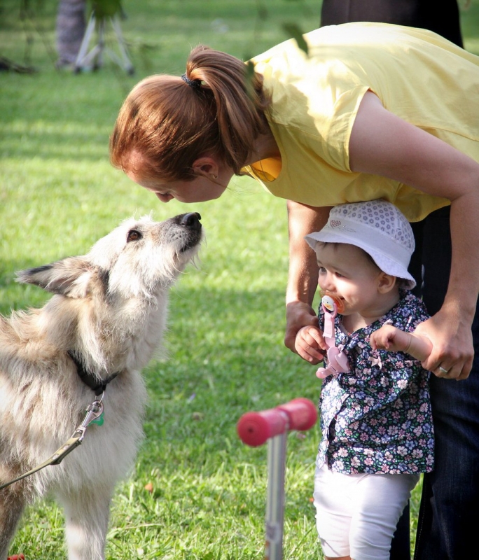 Каждому – по колыбельной, по роботу и по собаке: семейная афиша на 15-18 сентября - «Развлечения»