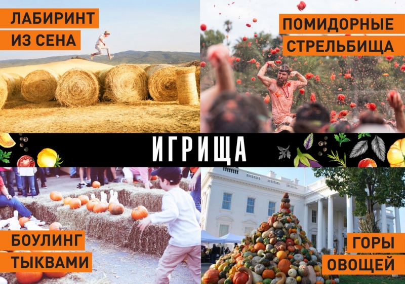 Легенды ветра, лабиринт из сена и дрессированные бобры: семейная афиша 10-11 сентября - «Развлечения»