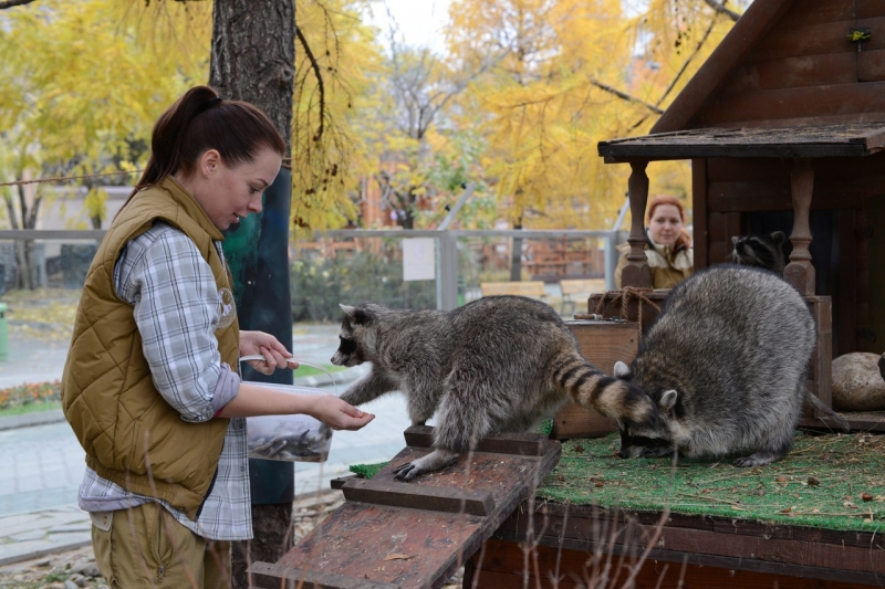 Легенды ветра, лабиринт из сена и дрессированные бобры: семейная афиша 10-11 сентября - «Развлечения»