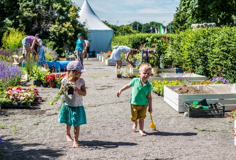 Лисий праздник, роботы-герои и океан цветов: семейные выходные 2-3 июля - «Развлечения»