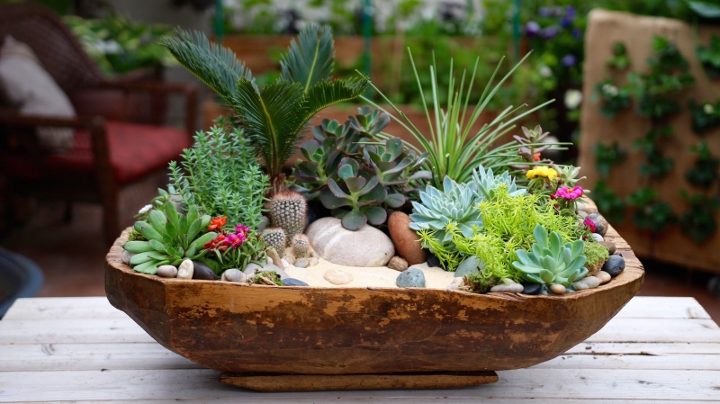 Antique Dough Bowl Turned Succulent Planter  - «Видео советы»
