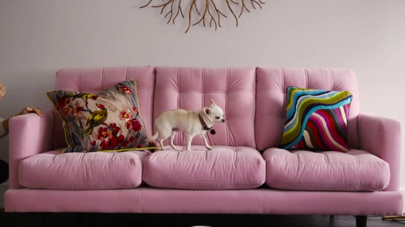 Homesetc: Donna Ida Thornton's colourful Berkshire home  - «Видео советы»
