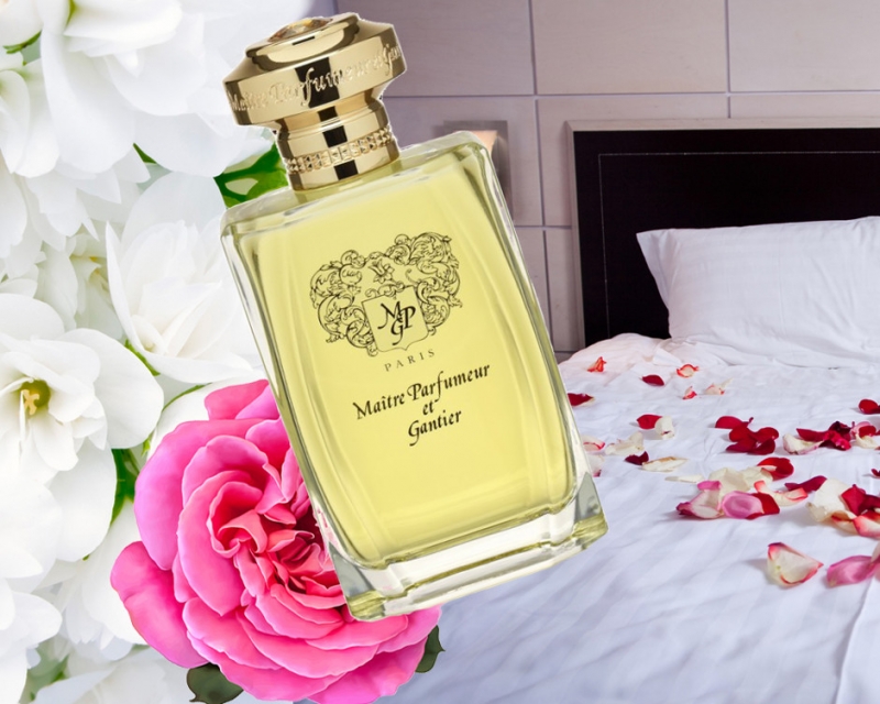 Aromatics Black Cherry, Clinique - «Красота»