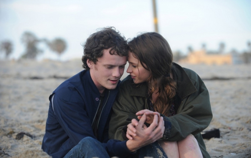 Иерархия — равенство - «Любовь»