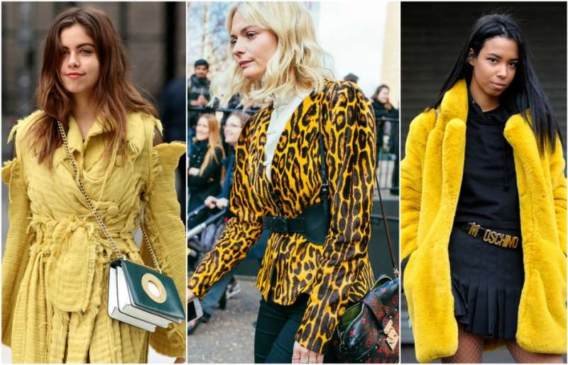 Почему теория цветотипов на самом деле не работает - Мода - Леди Mail.Ru - «Мода»