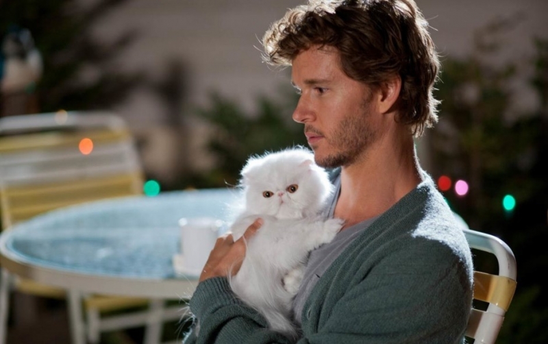 Относятся к себе, как к недостойной счастья, успеха и любви - «Любовь»