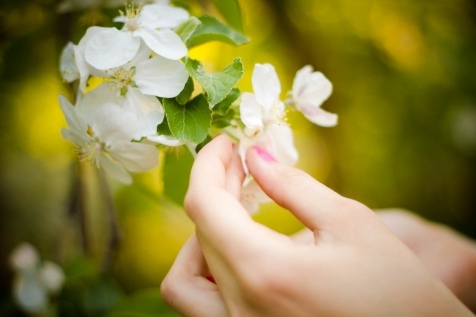 Почему стоит любить весну: 10 причин Почему стоит любить весну: 10 причин