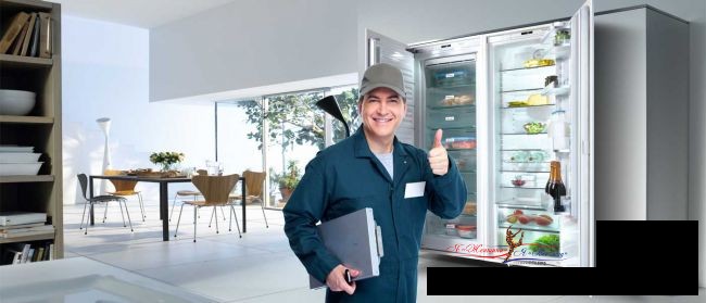 Как выбрать мастера по ремонту холодильников