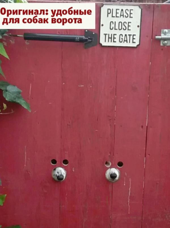 Лучшие фотожабы года!