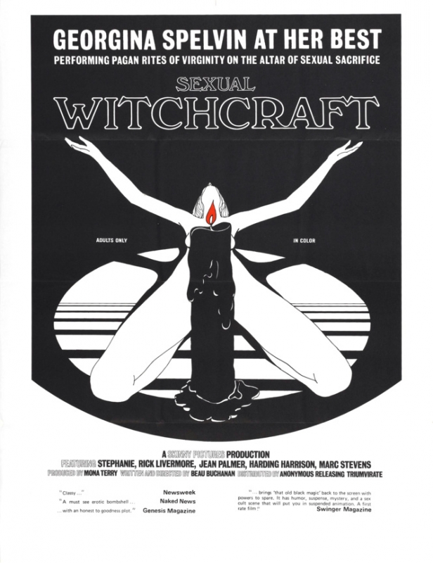 Самые шикарные рисованные постеры эротических фильмов