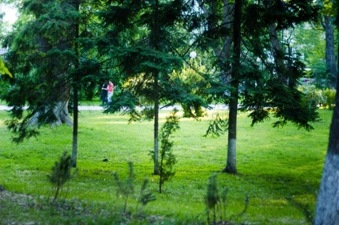 Kiev Parks: 7 парков Киева для прогулок и отдыха Kiev Parks: 7 парков Киева для прогулок и отдыха