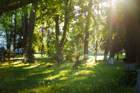 Kiev Parks: 7 парков Киева для прогулок и отдыха Kiev Parks: 7 парков Киева для прогулок и отдыха
