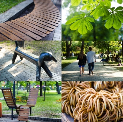 Kiev Parks: 7 парков Киева для прогулок и отдыха Kiev Parks: 7 парков Киева для прогулок и отдыха