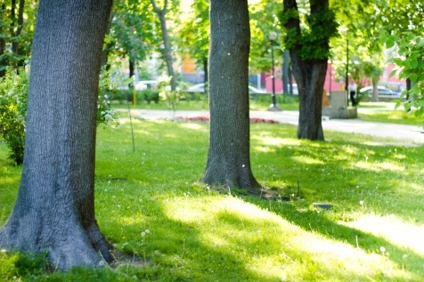 Kiev Parks: 7 парков Киева для прогулок и отдыха Kiev Parks: 7 парков Киева для прогулок и отдыха