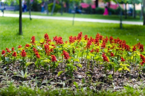 Kiev Parks: 7 парков Киева для прогулок и отдыха Kiev Parks: 7 парков Киева для прогулок и отдыха