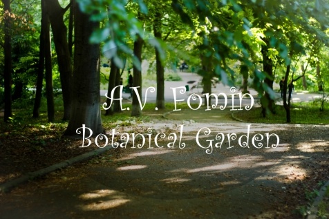 Kiev Parks: 7 парков Киева для прогулок и отдыха Kiev Parks: 7 парков Киева для прогулок и отдыха