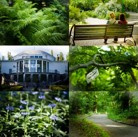 Kiev Parks: 7 парков Киева для прогулок и отдыха Kiev Parks: 7 парков Киева для прогулок и отдыха