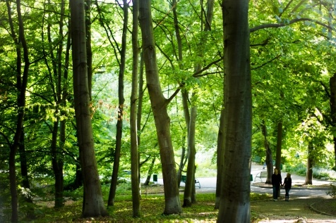 Kiev Parks: 7 парков Киева для прогулок и отдыха Kiev Parks: 7 парков Киева для прогулок и отдыха