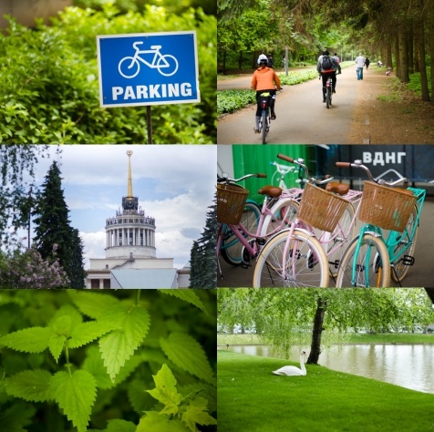 Kiev Parks: 7 парков Киева для прогулок и отдыха Kiev Parks: 7 парков Киева для прогулок и отдыха