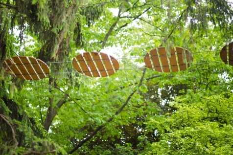 Kiev Parks: 7 парков Киева для прогулок и отдыха Kiev Parks: 7 парков Киева для прогулок и отдыха