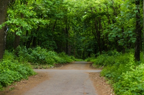 Kiev Parks: 7 парков Киева для прогулок и отдыха Kiev Parks: 7 парков Киева для прогулок и отдыха