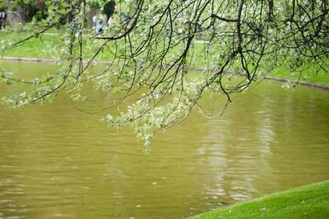 Kiev Parks: 7 парков Киева для прогулок и отдыха Kiev Parks: 7 парков Киева для прогулок и отдыха