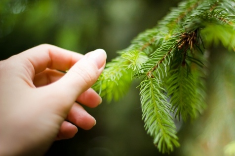 Kiev Parks: 7 парков Киева для прогулок и отдыха Kiev Parks: 7 парков Киева для прогулок и отдыха