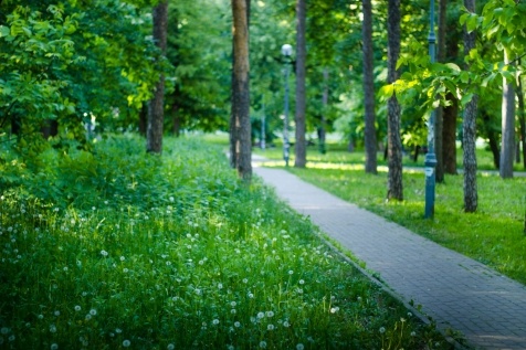 Kiev Parks: 7 парков Киева для прогулок и отдыха Kiev Parks: 7 парков Киева для прогулок и отдыха