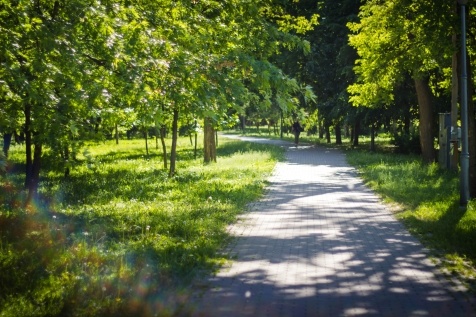 Kiev Parks: 7 парков Киева для прогулок и отдыха Kiev Parks: 7 парков Киева для прогулок и отдыха