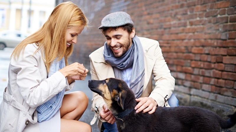 4 вещи, которые всегда делают перед сном счастливые люди: комментарий психолога - «Семейные отношения»