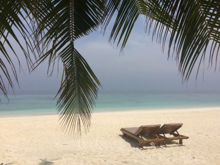 Отели на Мальдивах: романтика и охота за хищными звездами - «Путешествия»