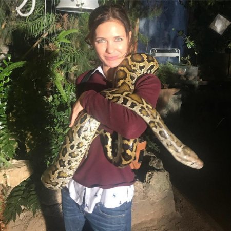 "Червячка подкопали?": Екатерина Климова опубликовала фото с огромной змеей - «Домашние Питомцы»