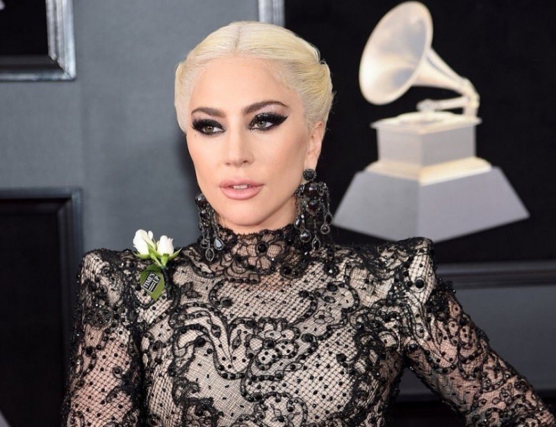 «Комбинезон вполне приличный»: Леди Гага удивила на церемонии «Грэмми-2018» - «Красота»