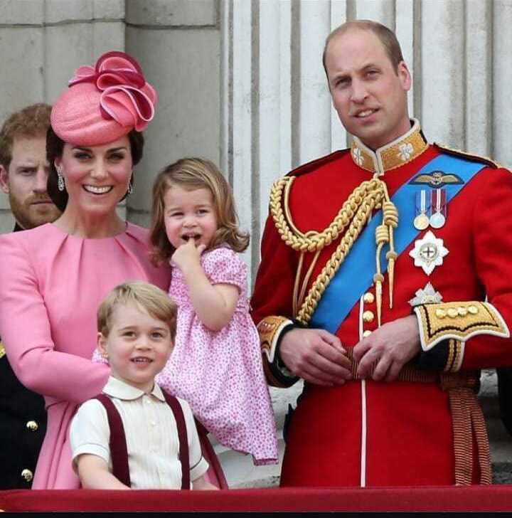 Принц Уильям прокомментировал возможность рождения близнецов у Кейт Миддлтон - «Домашние Питомцы»