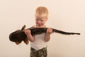 У детей, которые едят рыбу хотя бы раз в неделю, крепче сон и выше IQ - «Развитие ребёнка»
