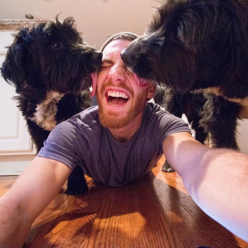 Американец сделал двух брошенных щенков звездами Инстаграма - «Домашние Питомцы»