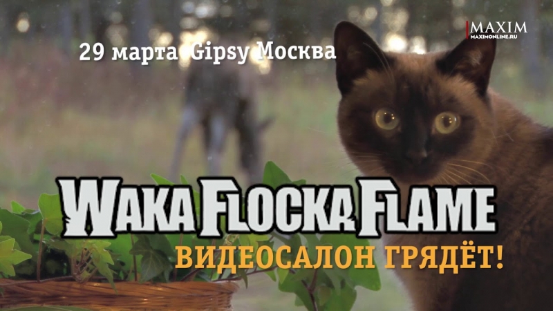 Waka Flocka Flame раскачает Видеосалон!  - «Видео советы»
