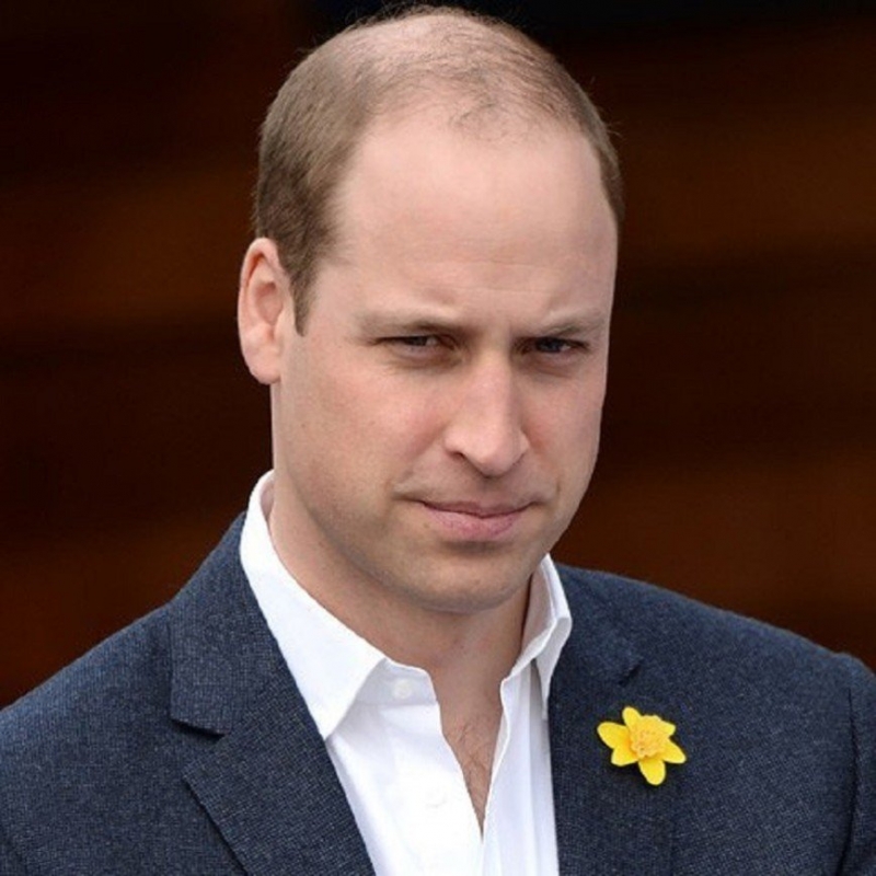 «Оговорился?»: принц Уильям сболтнул лишнее о поле будущего ребенка - «Домашние Питомцы»