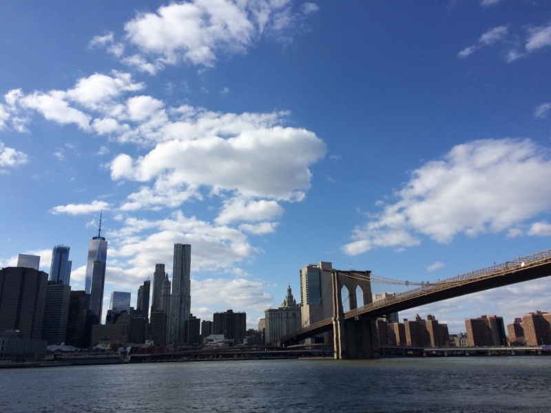 Нью-Йорк с ребенком: 10 мест, о которых мечтает юный турист - «Путешествия»