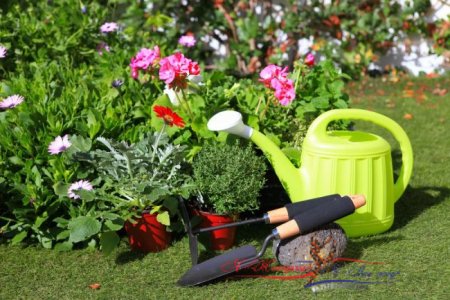 Инструменты, которые необходимы каждому садоводу