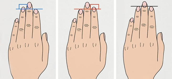Как определить характер по пальцам рук - «ПСИХОЛОГИЯ»