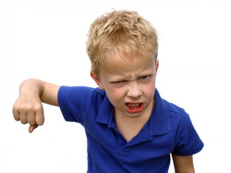 Агрессивный ребенок в детском саду и школе: что делать? - «Дети»