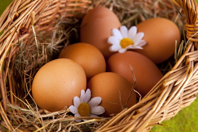 5 причин есть яйца каждый день - «Я и Здоровье»